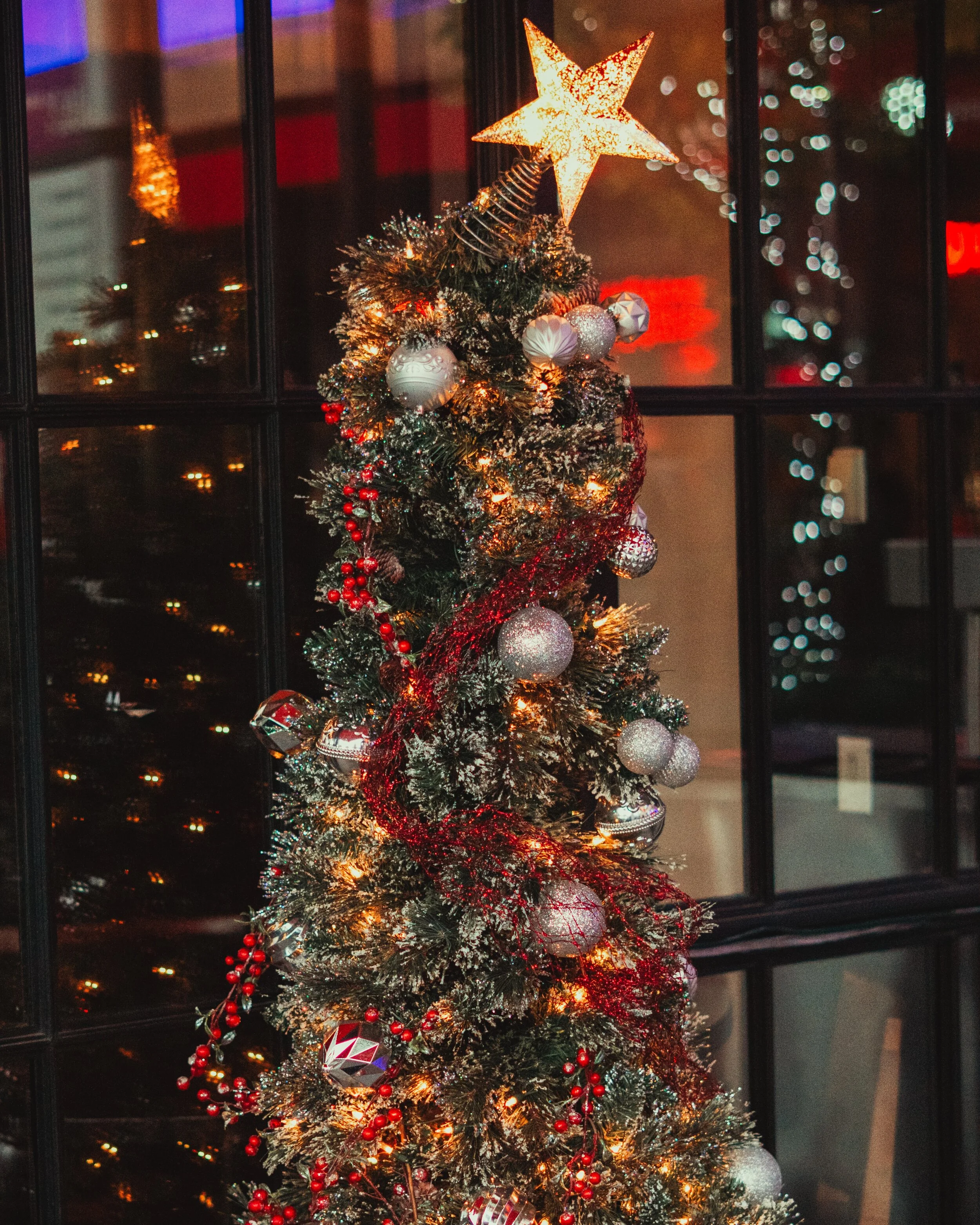 The Christmas Story — Acts of Renewal